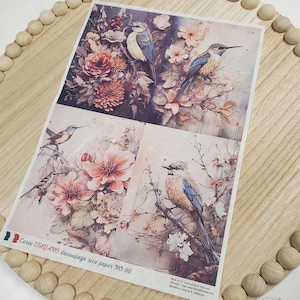 Old World Birds by AB Studios Papier de riz format A4 pour découpage, feuille de papier décoratif pour meubles ou projets de décoration DIY