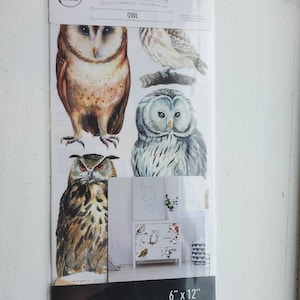 May include: A set of three owl decal sheets for decorating walls, furniture, and other surfaces. The sheets are 15.24 cm by 30.48 cm and feature watercolour-style illustrations of owls in various poses.