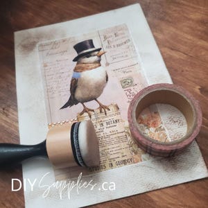 Peut inclure: Gros plan sur un papier décoratif avec une illustration d'oiseau vintage et du texte. Un tampon en bois avec une poignée noire et une éponge blanche et grise est posé sur le papier. Un ruban adhésif washi rose et blanc est sur le côté droit de l'image.