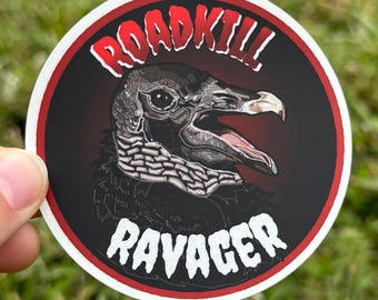 Pegatina troquelada de vinilo mate de buitre negro / Regalo para amantes de las aves / Amante de la vida silvestre / Rapaz, ave rapaz, regalo de observación de aves / Arte original