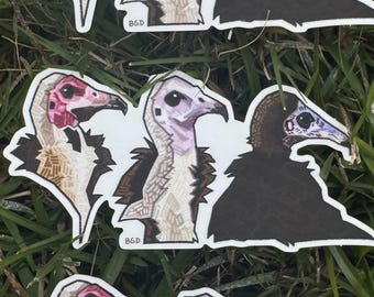 Pegatina troquelada de vinilo mate de buitre encapuchado / Regalo para amantes de las aves / Amante de los buitres / Rapaz, ave rapaz, regalo de observación de aves / Arte original