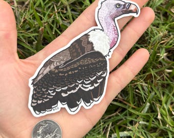 Pegatina troquelada mate de vinilo de buitre de Rüppells / Regalo para amantes de las aves / Amante de los buitres / Rapaz, ave rapaz, regalo de observación de aves / Arte original