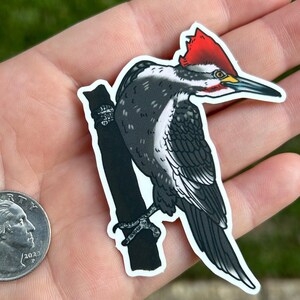 Pileated Woodpecker Vinyl Matte Die Cut Sticker | Bird Lover Gift | Wildlife Lover | Birding Gift | Original Art