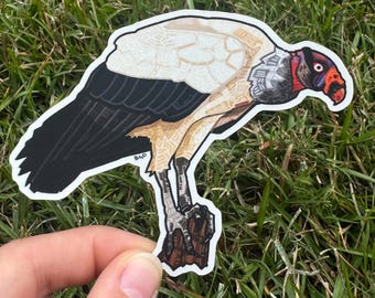 Pegatina troquelada de vinilo mate de buitre rey / Regalo para amantes de los buitres / Amante de la vida silvestre / Rapaz, ave rapaz, regalo de observación de aves / Arte original