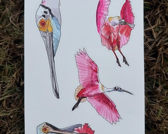 Hoja de pegatinas troqueladas de vinilo mate de espátula rosada / Regalo para amantes de las aves / Amante de la vida silvestre / Aves acuáticas y zancudas / Arte original