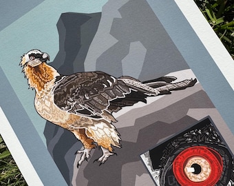 Impresión giclée de paisaje de quebrantahuesos / Regalo para amantes de las aves / Amante de los buitres / Rapaz, ave rapaz, regalo de observación de aves / Arte original