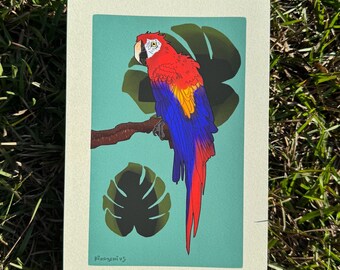 Impresión Giclée de guacamayo escarlata de 6x9 / Regalo para amantes de las aves / Amante de los loros / Regalo para la observación de aves