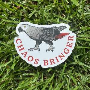 African Grey Parrot Vinyl Matte Die Cut Sticker | Bird Lover Gift | Wildlife Lover | Parrot, Birding Gift | Original Art |