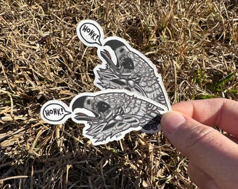 Pegatina troquelada de vinilo mate con la frase "Águila arpía 'Honk'" para amantes de la vida silvestre, rapaz, ave de rapiña, regalo de aves, arte original, divertido