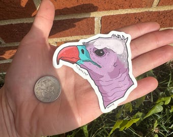 Pegatina troquelada de vinilo mate de buitre de cabeza blanca / Regalo para amantes de las aves / Amante de los buitres / Rapaz, ave rapaz, regalo de observación de aves / Arte original