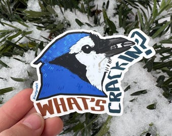 Pegatina de vinilo mate troquelada con arrendajo azul / Regalo para amantes de las aves / Regalo para amantes de la vida silvestre / Regalo para observadores de aves / Arte original