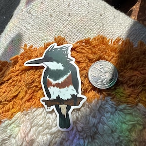 Belted Kingfisher Vinyl Matte Die Cut Sticker | Bird Lover Gift | Wildlife Lover | Birding Gift | Original Art