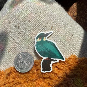 Common Kingfisher Vinyl Matte Die Cut Sticker | Bird Lover Gift | Wildlife Lover | Birding Gift | Original Art