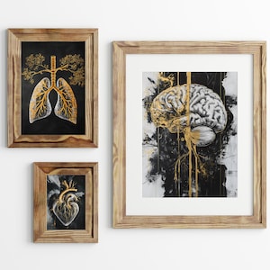 Anatomy wall art | set of 3 prints | heart | lungs | brain | medical decor | med student gift | brain anatomy | lungs anatomy |heart anatomy