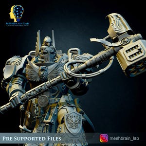 3D Printed Imperial Marine Master of the Order of Heaven by Meshbrain Labs