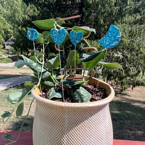 Puede incluir: Una planta en maceta con un enrejado metálico decorativo y marcadores de plantas en forma de corazón azul. La planta está en una maceta grande, texturizada, de color crema.
