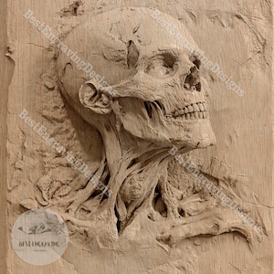 以下が含まれることがあります： 筋肉と骨の構造が見える人間の頭蓋骨の精巧な木彫り。頭蓋骨は横に傾けられ、顎が少し開いています。彫刻はリアルなスタイルで、細かいディテールとテクスチャが施されています。