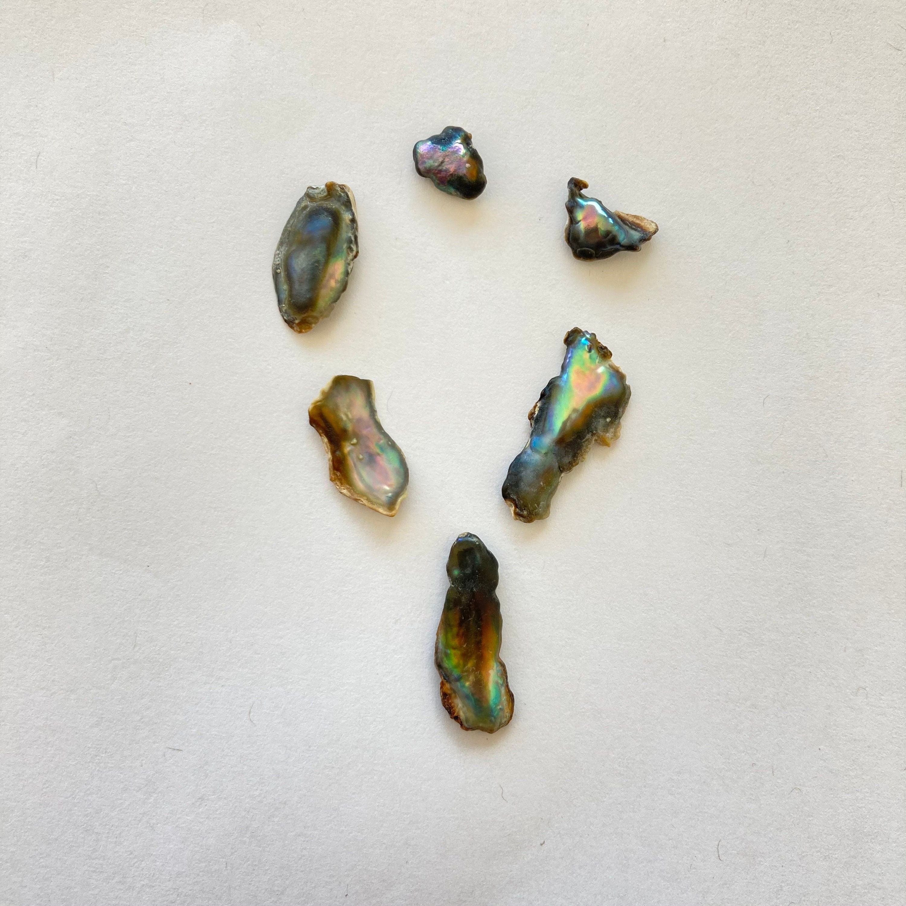 Pendentif En Argent Sterling Avec Abalone Naturel – Nacre, Style Mer, Neuf étiqueté