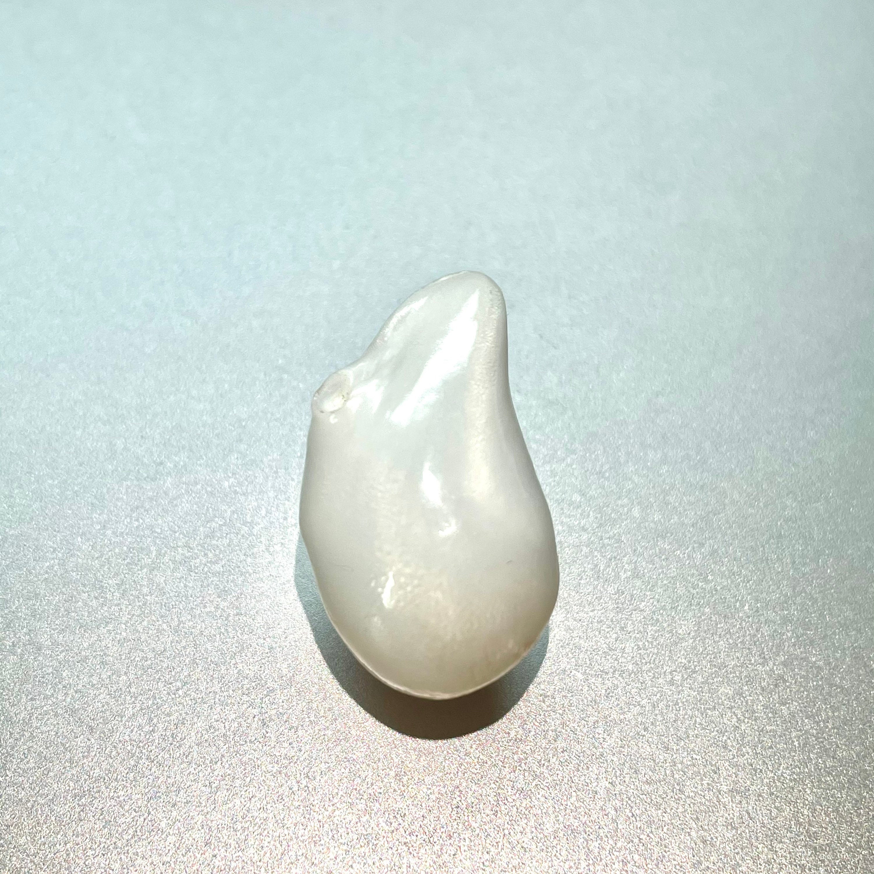 Perla de almeja natural 23.7x13.4x11.9mm Etsy