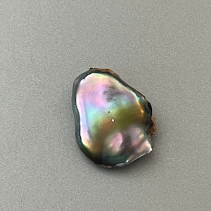 Natural Abalone Pearl — 15x12mm Baroque Shape — Iridescent Loose