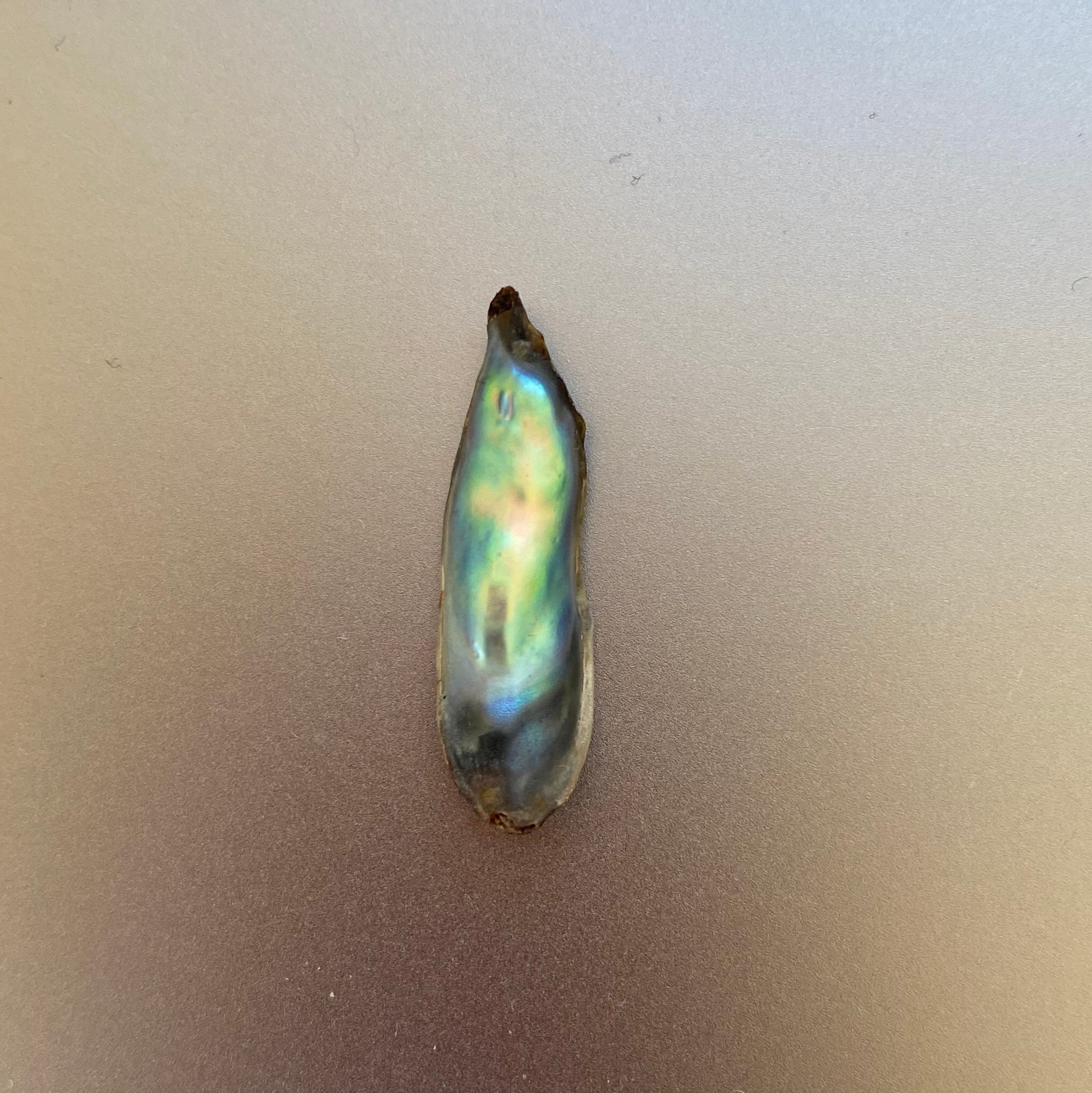 Buy Natural Abalone Pearl 24.4x7.1x4mm Online in India Etsy