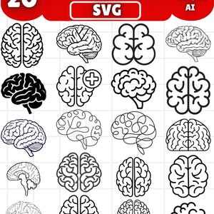 May include: A collection of 20 human brain illustrations in black and white. The image includes various styles of brain diagrams, including frontal, side, and outline views. Text at the top reads "HUMAN BRAIN SVG".