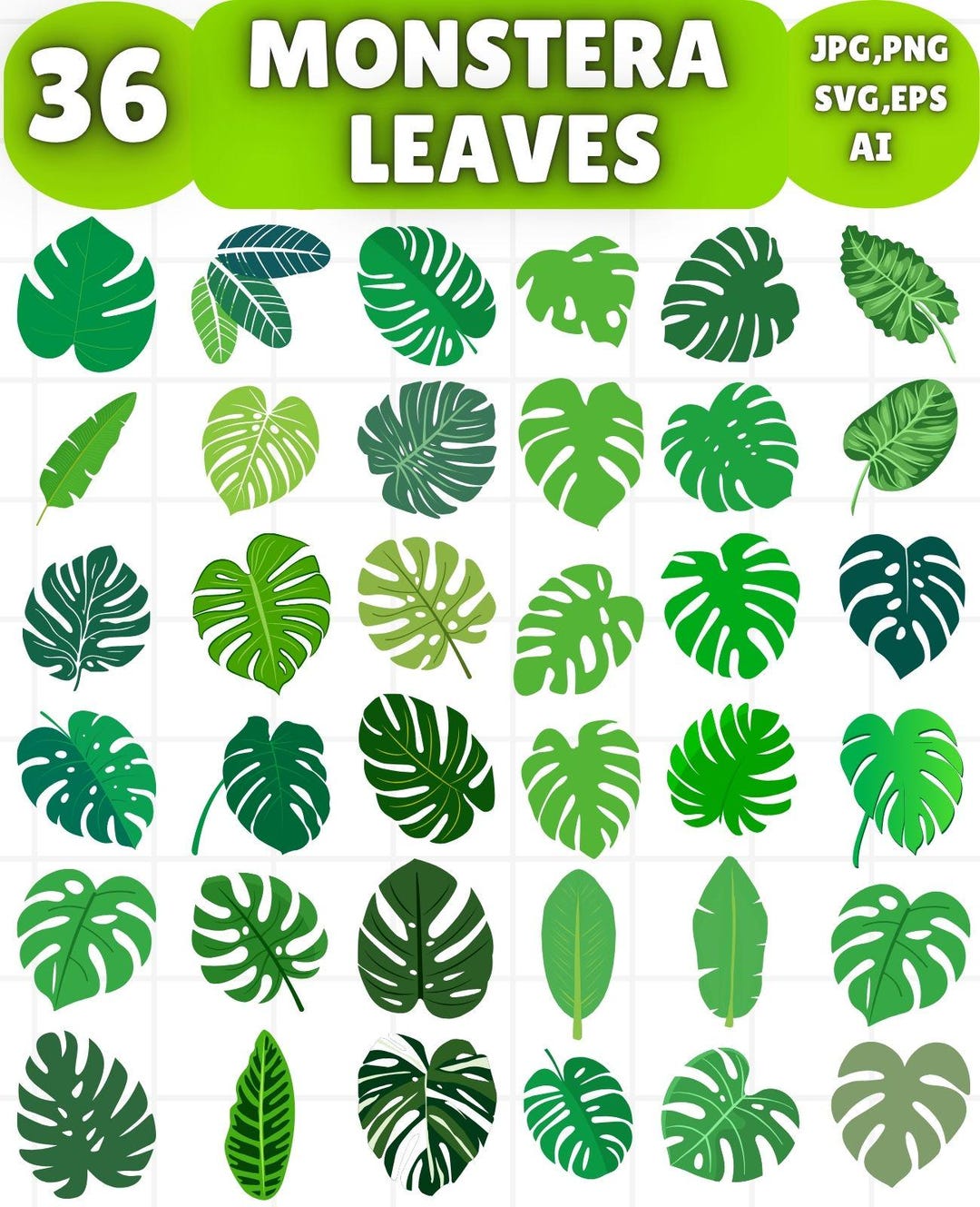 Monstera Leaves Clipart Bundle, Tropical Palm SVG Cut Files (digital ...
