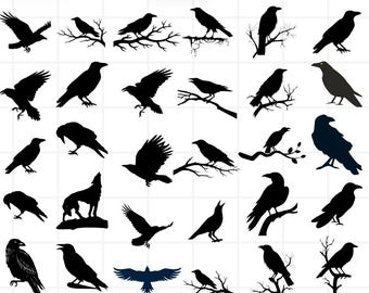Paquete de archivos SVG de cuervo, imágenes prediseñadas de silueta de cuervo gótico, archivo de corte de aves (descarga instantánea)