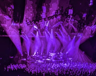 Phish Home Decor Wall Art 2014-10-17 Eugene, OR - 2