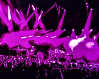 Phish Home Decor Wall Art 2016-07-10 Syracuse, NY