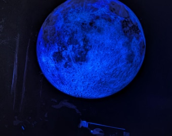 Phish Home Decor Wall Art 2024-08-16 Dover, DE Mondegreen