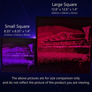 Phish Home Decor Wall Art 2018-09-02 Dick's Sporting Goods Park image 2