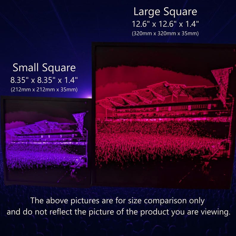 Phish Home Decor Wall Art 2018-09-02 Dick's Sporting Goods Park image 2