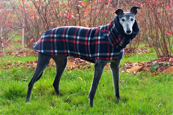 greyhound snood coat