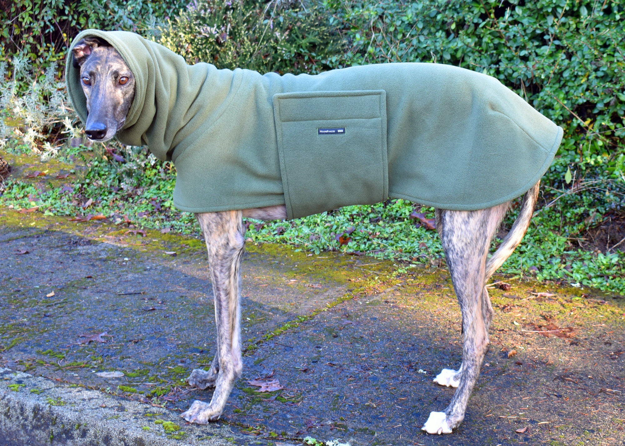 Fleece Greyhound Coat in Olive Green Size Medium or Etsy