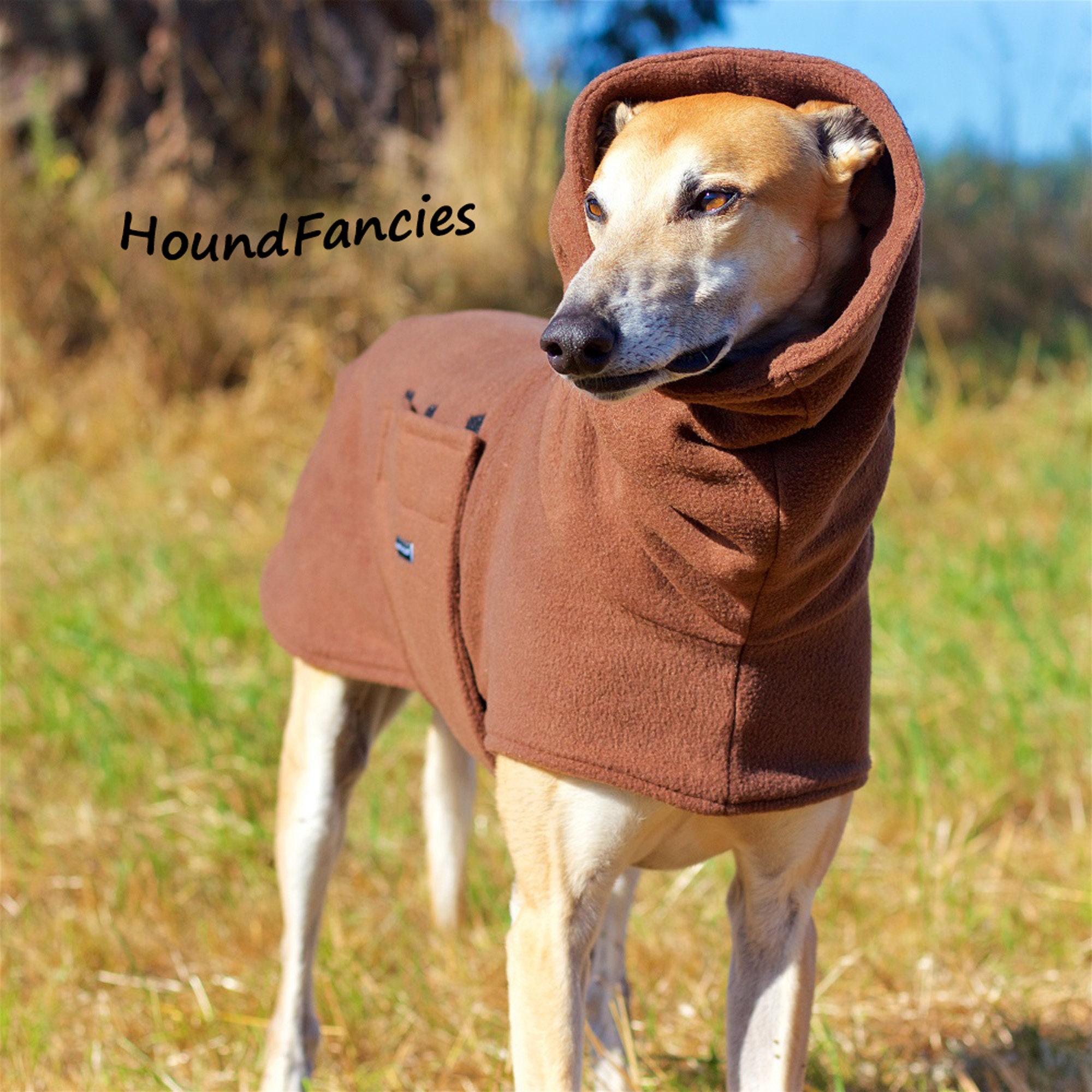 sighthound coat