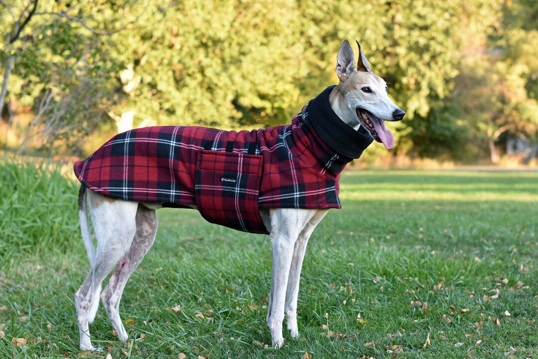 Fleece Greyhound Coat in Red & Black Tartan Plaid, Size Med or Lrge