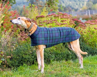 Short Collar Greyhound Coat in Watch Plaid Fleece/size medium or large/Fleece Greyhound Coat/Winter Coat Greyhound/