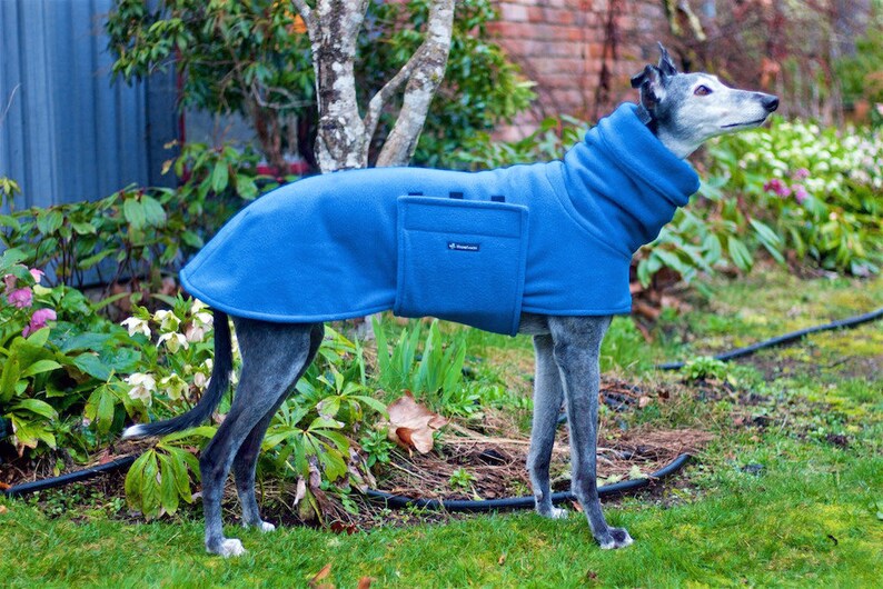 Fleece Greyhound Coat in Peacock Blue size medium--Greyhound CoatFleece Greyhound Coat Snood CoatSighthound CoatWinter Fleece Coat