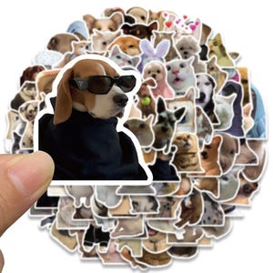 10/30/50/100pcs Funny Cat Dog Meme Stickers Decal DIY Scrapbook Suitcase Skateboard Laptop Graffiti Cute Animal Stickers Toy