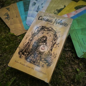 Peut inclure: Un jeu de cartes oracle Curious Nature de Brett Manning avec une boîte beige illustrée d'une personne tenant une lanterne dans une forêt. Le texte indique Curious Nature Oracle et Wise Words from the Woodlands. Plusieurs cartes colorées sont étalées derrière la boîte.