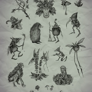 Faeries - 8.5x11 print