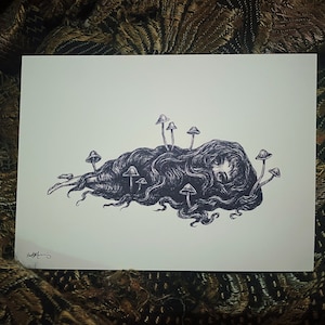 Mushroom Nap - 5x7 print