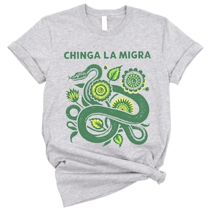 Chinese New Year Snake Shirt, Lunar New Year Snake Tee, 2025 Snake T-Shirt, Year of the Snake Shirt, Chinese Zodiac Snake Shirt, Snake Tee