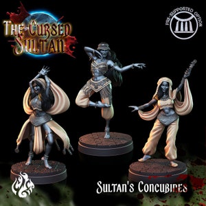CONCUBINE da "Il Sultano Maledetto" di [Crippled God Foundry] | Stampa 3D 16K | Carta e penna | Da tavolo | Giochi di guerra