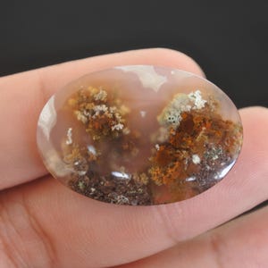 Agate mousse multicolore