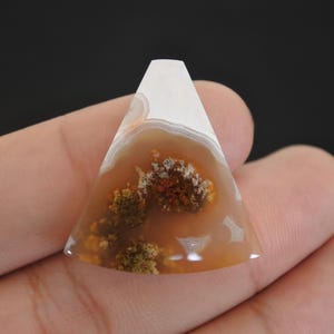 Agate mousse multicolore