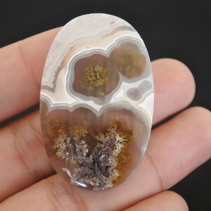 Agate mousse multicolore
