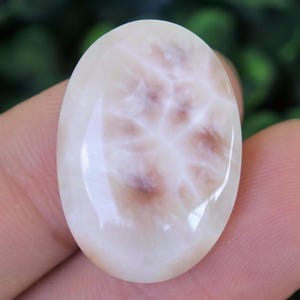 Puede incluir: Gema ovalada con una base blanca cremosa y patrones marrones intrincados. La superficie pulida refleja la luz, resaltando las vetas naturales. Esta gema es una pieza única para la creación de joyas.