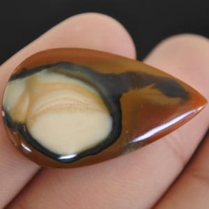 May include: A polished, teardrop-shaped gemstone with a mix of colours. The stone features a creamy white centre, surrounded by a black outline, and framed by bands of brown and reddish-brown hues. The gemstone is held in a hand.